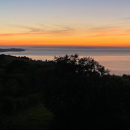 Cliff Lodge Torquay Exteriér fotografie